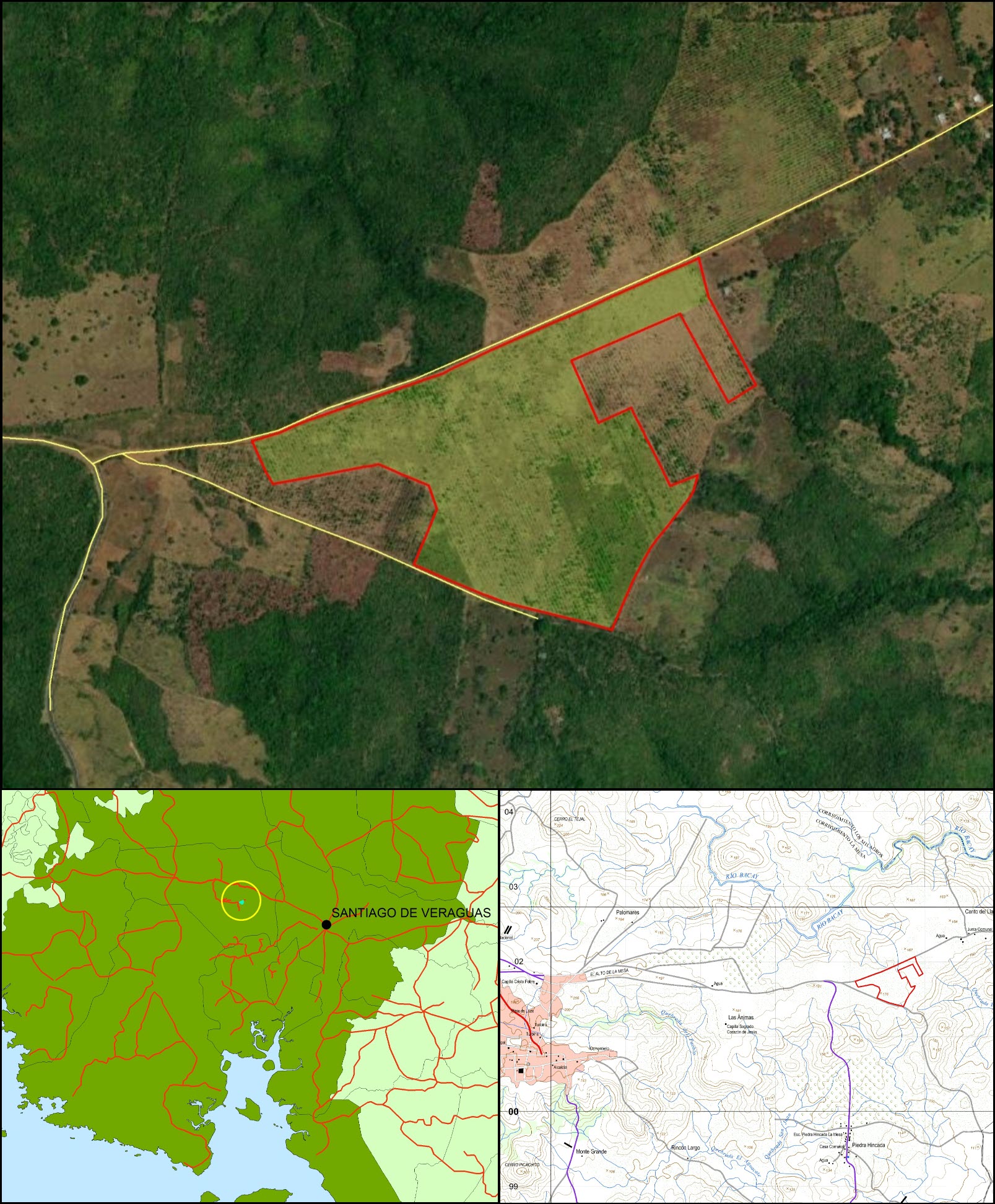 Imagen 6 – composición vertical de Canto del Llano